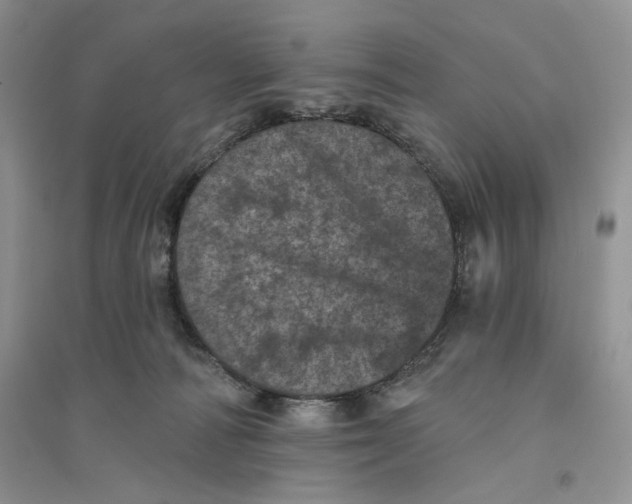 X0000094440226200711291644