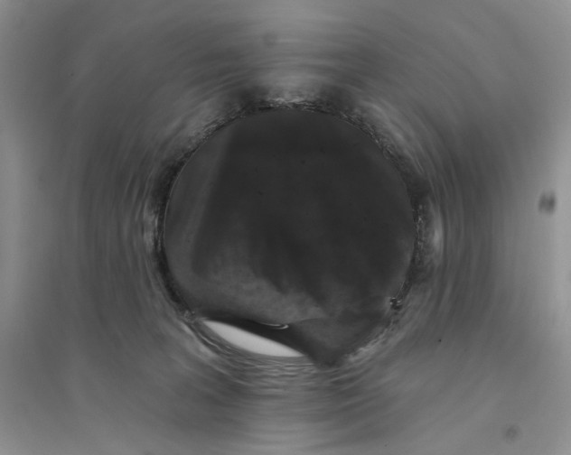 X0000094440227200711291644