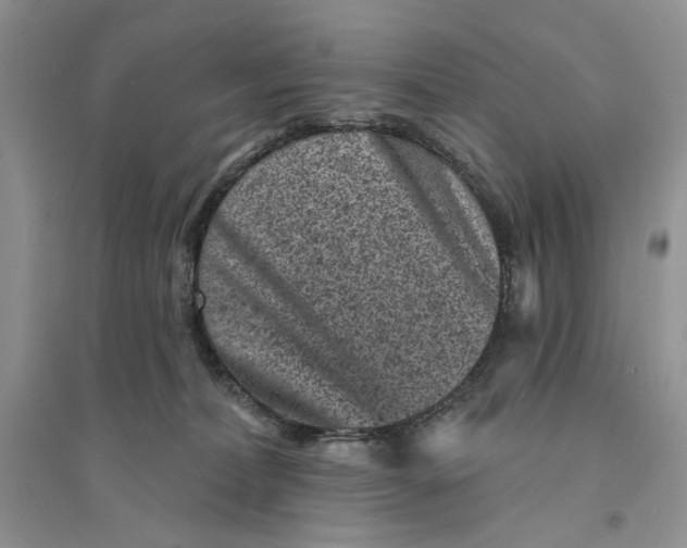 X0000094440228200711291644