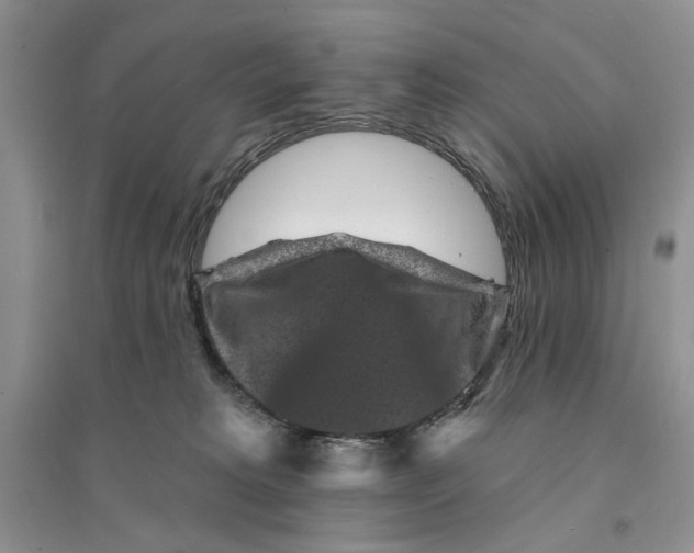 X0000094440229200711291644