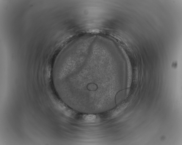 X0000094440230200711291643