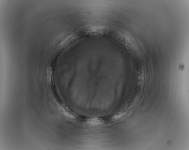 X0000094440231200711291643