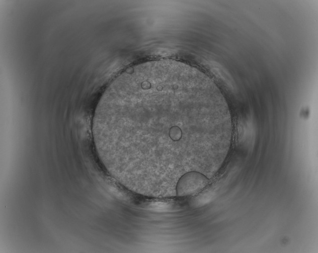 X0000094440236200711291643