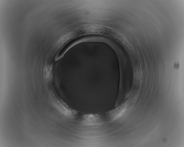 X0000094440239200711291643