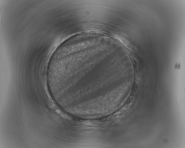 X0000094440241200711291643