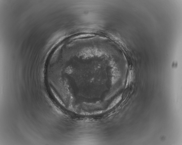 X0000094440243200711291643