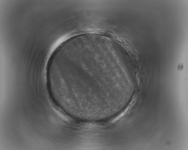 X0000094440246200711291643