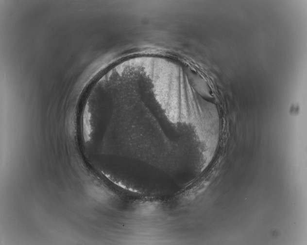 X0000094440247200711291643