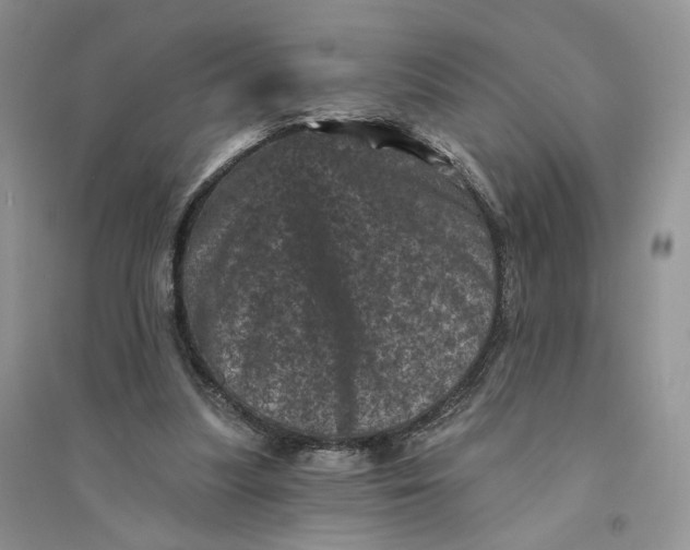 X0000094440251200711291643