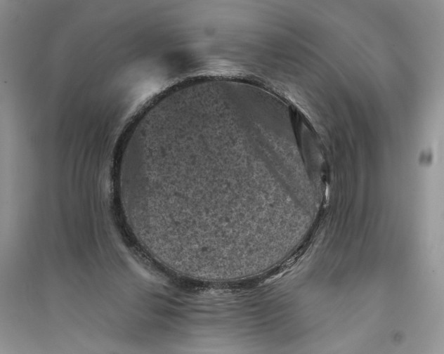 X0000094440252200711291643