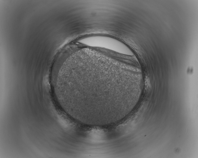 X0000094440256200711291643