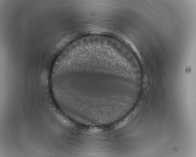 X0000094440257200711291643