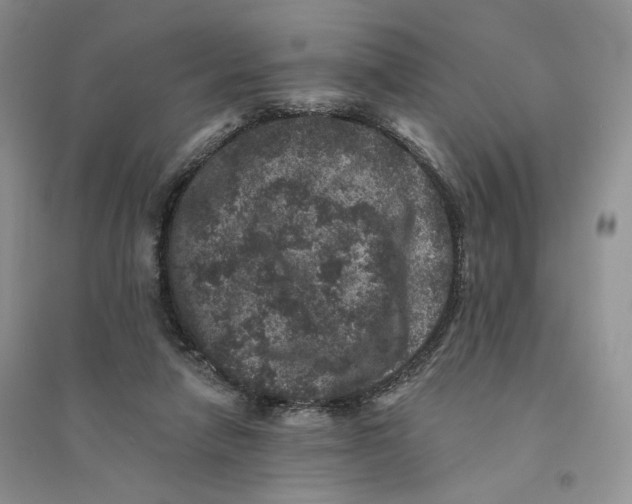 X0000094440258200711291643