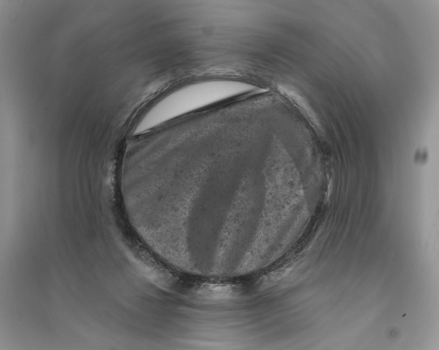 X0000094440260200711291643