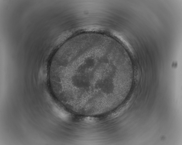 X0000094440261200711291643