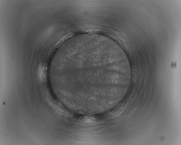 X0000094440263200711291643