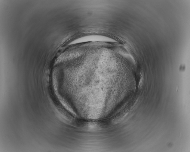 X0000094440264200711291643