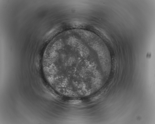 X0000094440266200711291643