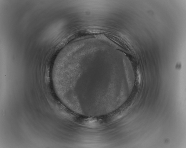 X0000094440267200711291643