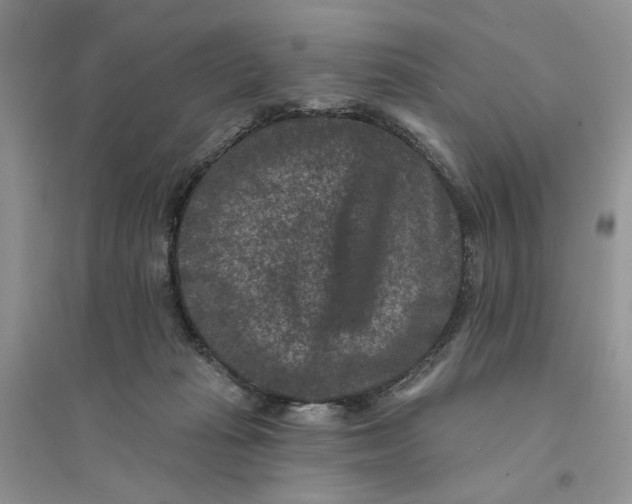 X0000094440269200711291643