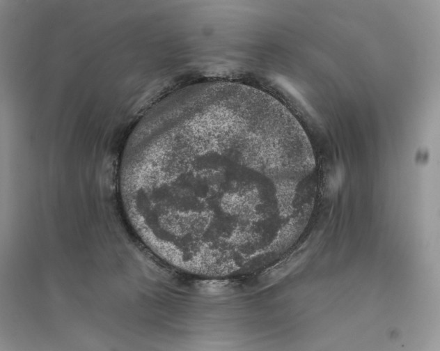 X0000094440273200711291643