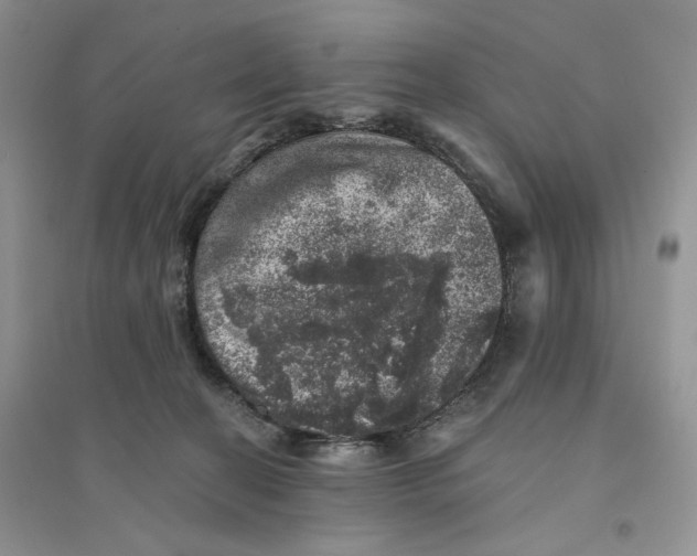 X0000094440274200711291643