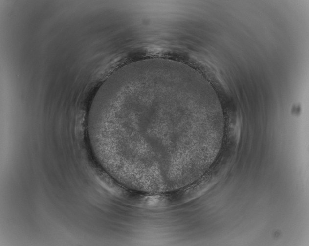 X0000094440275200711291643