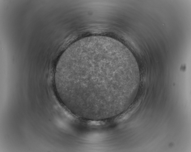 X0000094440277200711291643