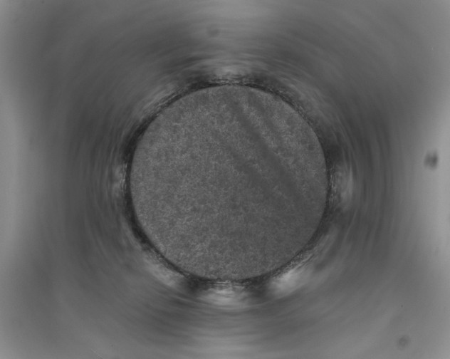 X0000094440278200711291643