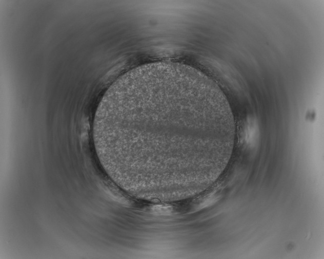 X0000094440279200711291643