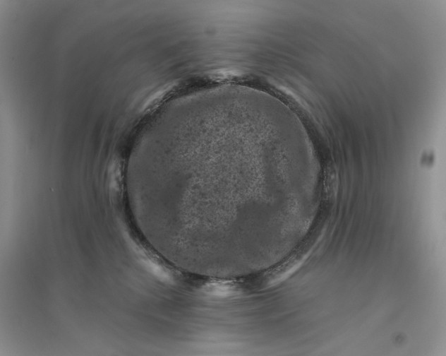 X0000094440280200711291643