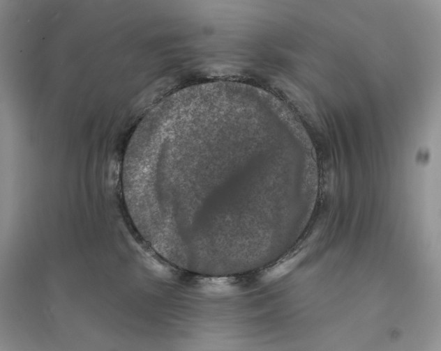 X0000094440281200711291643