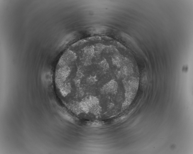 X0000094440282200711291643