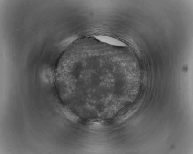 X0000094440285200711291643