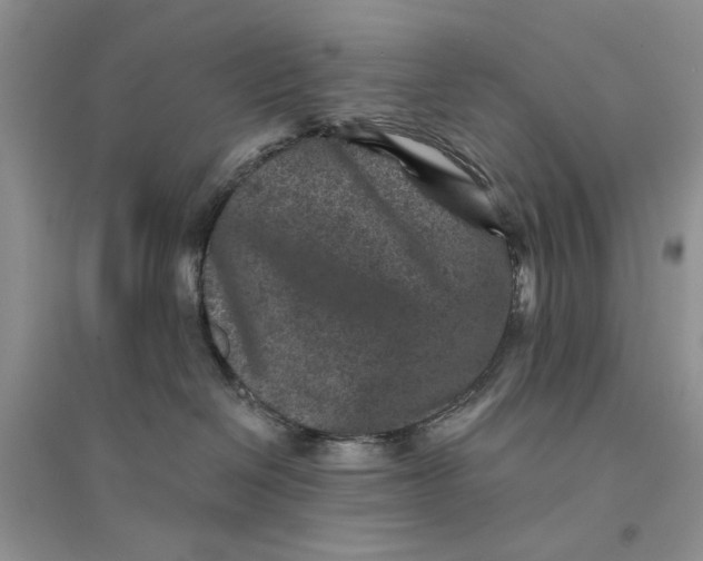 X0000094440286200711291643