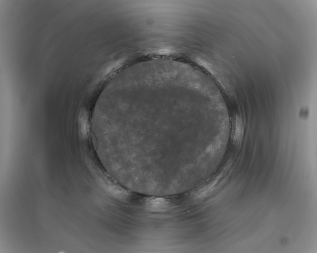 X0000094440287200711291643