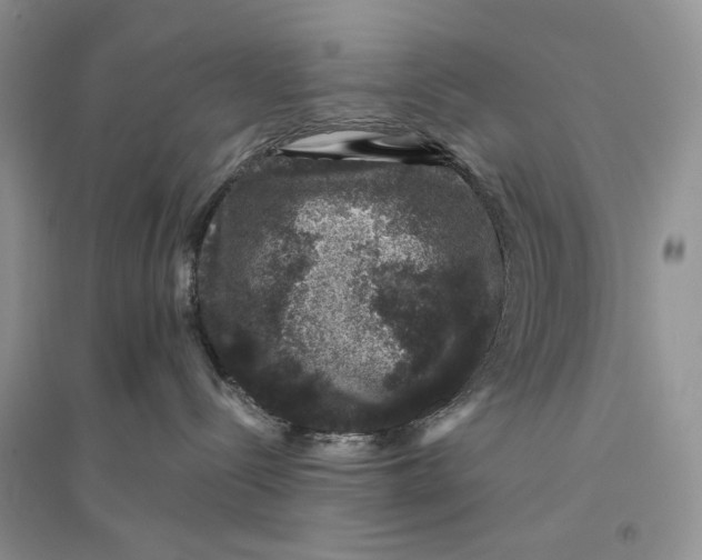 X0000094440288200711291643