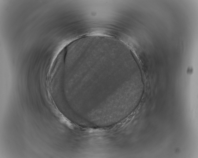 X0000094440289200711291643