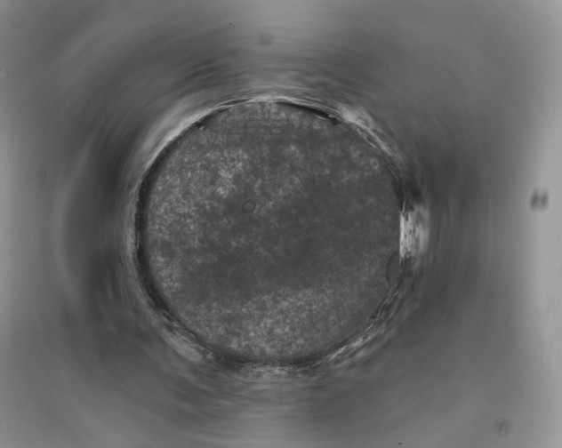 X0000094440291200711291643