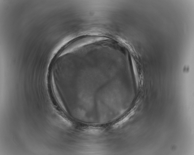 X0000094440292200711291643