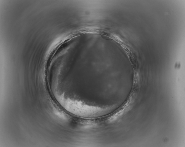 X0000094440293200711291643