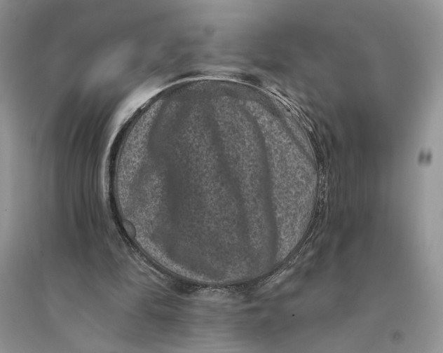 X0000094440294200711291643