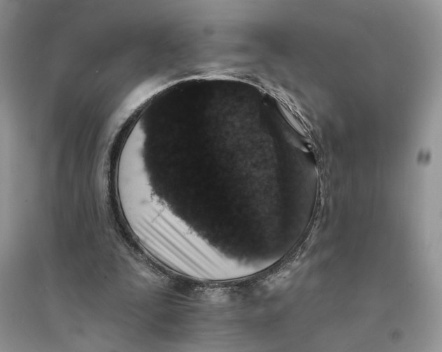 X0000094440295200711291643