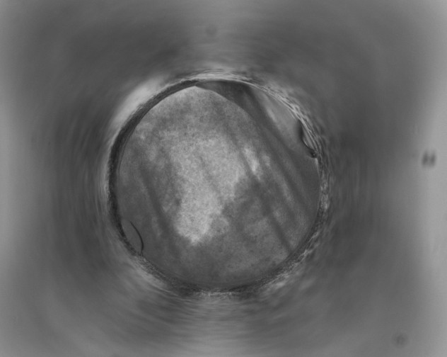 X0000094440296200711291643