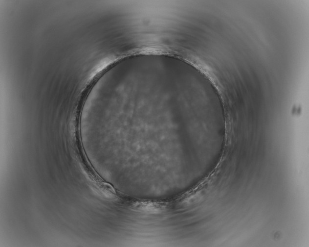 X0000094440297200711291643