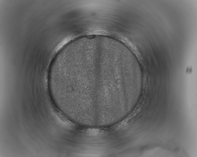 X0000094440298200711291643