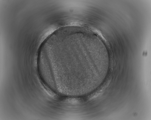 X0000094440299200711291643