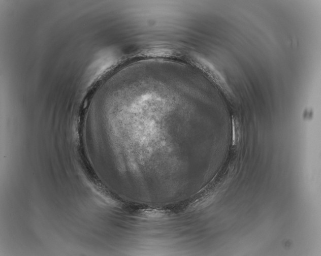 X0000094440300200711291643