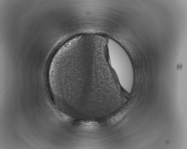 X0000094440304200711291642