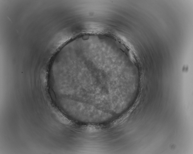 X0000094440305200711291642